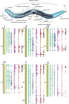 Figure 10.2. C.