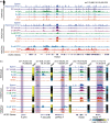 Figure 14.5. Dynamic landscape of histone modifications at the mouse Neuro2d (Neuronal Differentiation 2) locus in different tissues and during development.