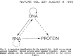 Figure 3.7. Crick's 1970 formulation of the ‘Central Dogma'.