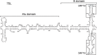 Figure 8.3. The structure of 7SL RNA, showing the part coopted into Alu transposable elements in primates.