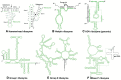 Figure 8.5. Secondary structures of six types of ribozymes.