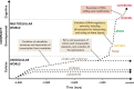 Figure 18.1. The evolution of complexity.