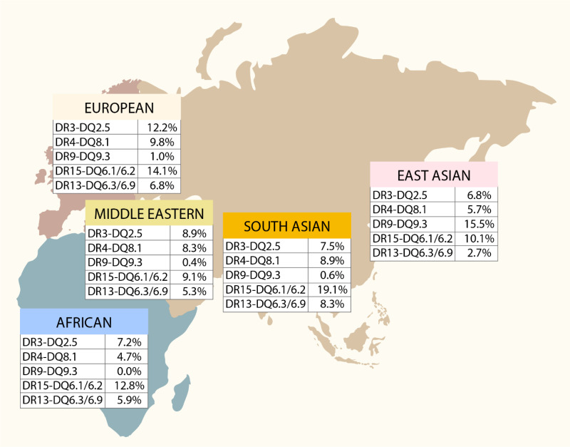 Map showing the prevalence of five HLA haplotypes across five European, Asian, and middle eastern regions, indicating that D Q 6.1/6.2 is most prevalent in all regions except for East Asia.