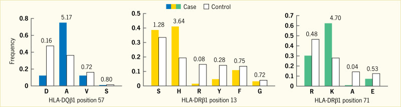 Bar chart showing that the amino acid residues that confer risk and are protective for autoimmune disease vary depending on the H L A position.