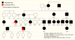 Pedigree chart showing that while most monogenic diabetes syndromes are dominantly inherited, recessive and maternal inheritance forms are known.