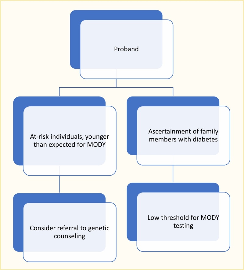 Flow chart showing that once a variant causing monogenic diabetes is confirmed, a referral should be made for genetic counseling which is helpful prior to testing additional family members.