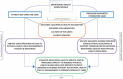 Figure 2. Unique and Common Components of the Behavioral Health Home Models.