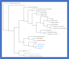 Figure 16. Dendrogram Mapping the Contextual Relationships Among Themes Identified by the Qualitative Analysis of Diabetes-Related Social Media Postings.