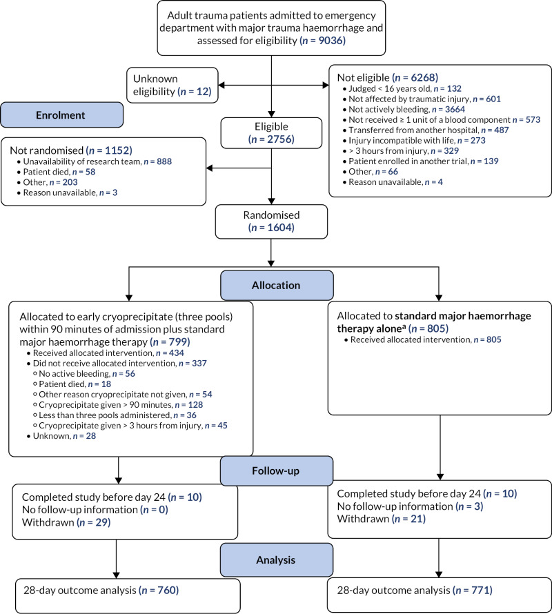 FIGURE 2. Summary of trial entry, randomisation and treatment.