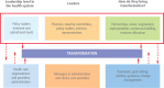 Figure 2. Leadership for health service delivery transformation and focus of this brief (red box).