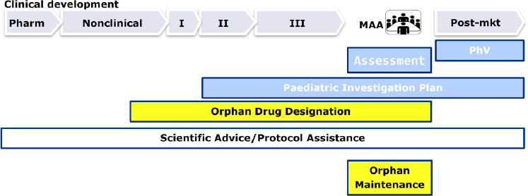 A timeline diagram showing orphan product designation and maintenance throughout the drug development life cycle, illustrating key milestones and processes.