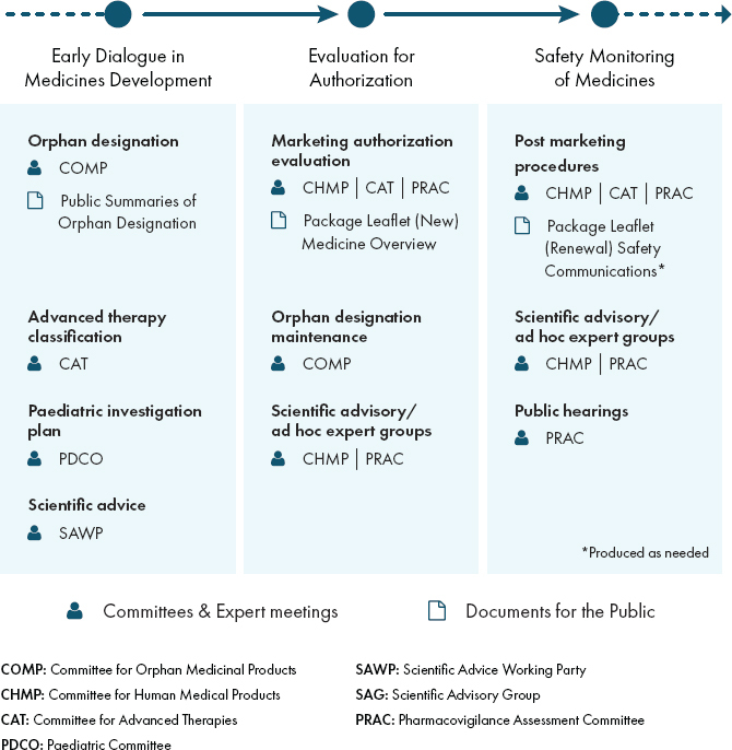 A diagram illustrating patient involvement at various stages of the medicines lifecycle at EMA, showing where and how patients may be involved.