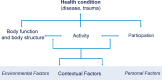 FIGURE 1. World Health Organization’s model for the International Classification of Functioning, Disability and Health.