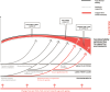 FIGURE 6. Trajectories of healthy aging: Optimizing functional ability.