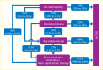 Flow chart showing annual progression to the next stage of C K D was
2% to 2.8% and death occurred in 1.4% with no nephropathy increasing to
19.2% in those with elevated plasma creatinine or E S R D