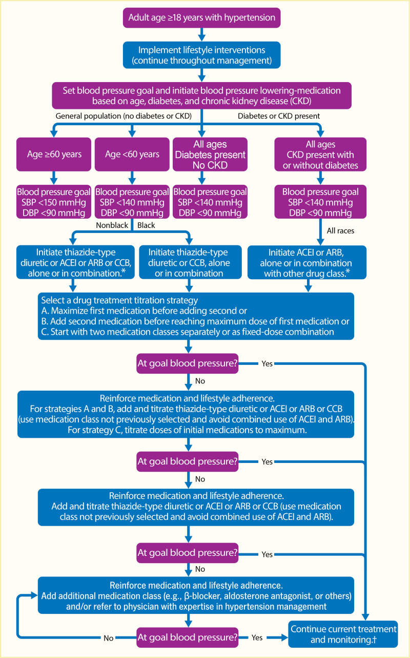 Flow chart demonstrating individualized nature of hypertension
management guidelines, taking into consideration factors such as frailty,
comorbidities, and albuminuria