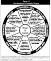 Figure 1-1: Manifestations of Domestic Violence.