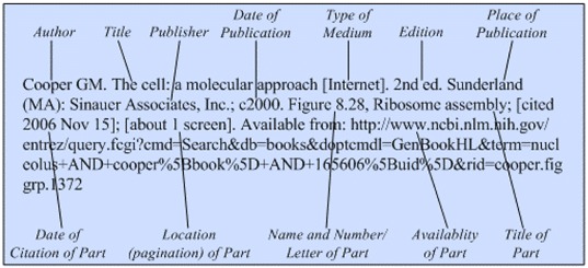 Illustration of the general format for a reference to part of an Internet
book.