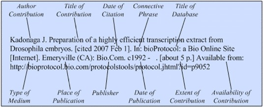 Illustration of the general format for a reference to a contribution to a
database on the Internet without a separate date of publication for the
contribution.