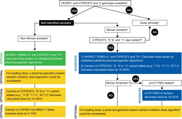 Figure 1. . The CPIC (2017) Dosing Recommendations for Warfarin Dosing based on Genotype for Adult Patients.