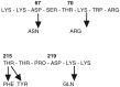 FIGURE 1-3. Four amino acid substitutions in the reverse transcriptase enzyme are sufficient to confer strong AZT resistance.