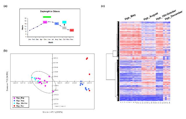 Neuroendocrine gene expression patterns