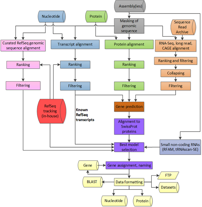 pipeline_overview