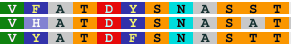 rasmol amino acid colors