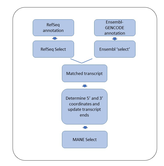 MANE Select Flowchart