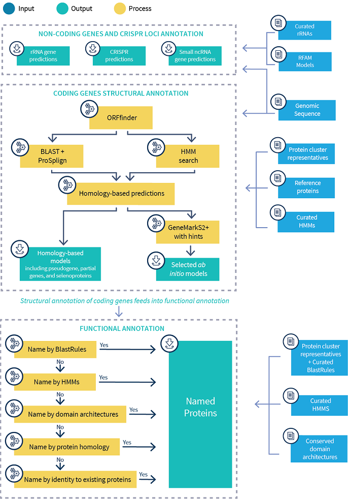 Flowchart describing the major components of the pipeline