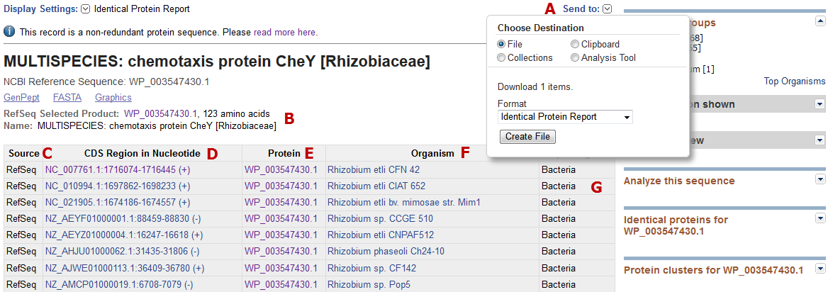 Image of the Identical Protein report display for non-redundant protein WP_003547430.1.