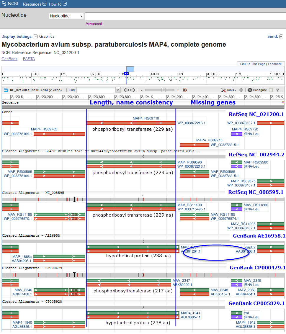 image showing feature annotation for a series of aligned genomic accessions (NC_002944.2, NC_008595.1, NC_021200.1, AE016958.1, CP000479.1, CP005928.1). The image shows RefSeq annotation has greater consistency.