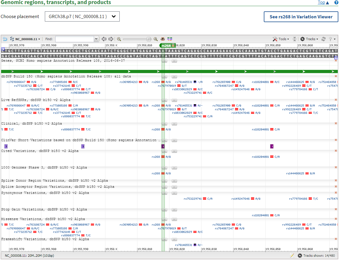 RefSNPreport_GenomicView