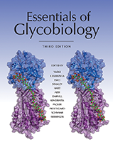 Cover of Essentials of Glycobiology