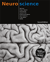 Cover of Neuroscience