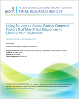 Cover of Using Surveys to Assess Patient-Centered Factors that May Affect Responses to Chronic Pain Treatment