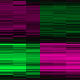 GDS5028 Cluster Image