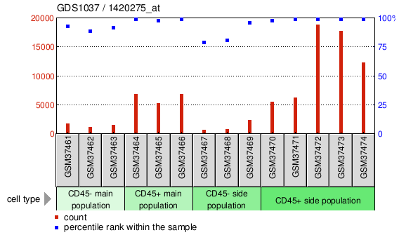 Gene Expression Profile