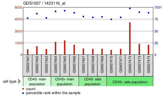 Gene Expression Profile