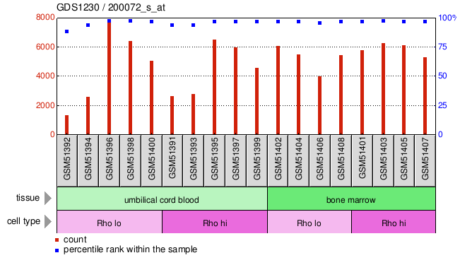 Gene Expression Profile