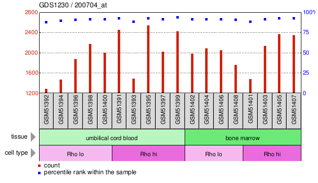 Gene Expression Profile