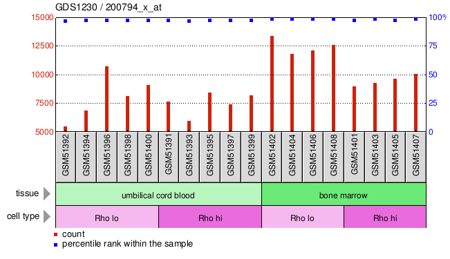 Gene Expression Profile