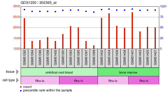 Gene Expression Profile