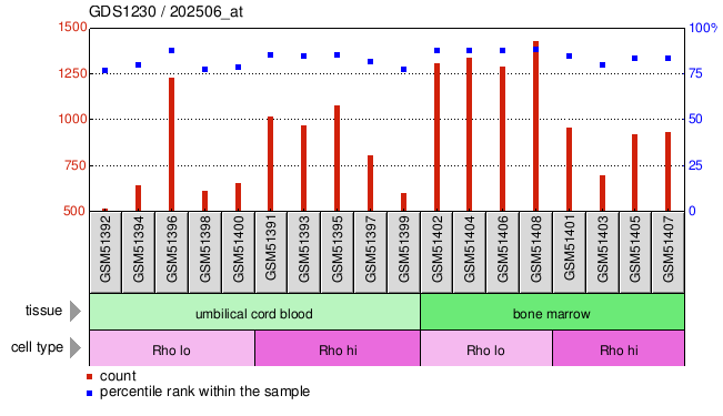 Gene Expression Profile