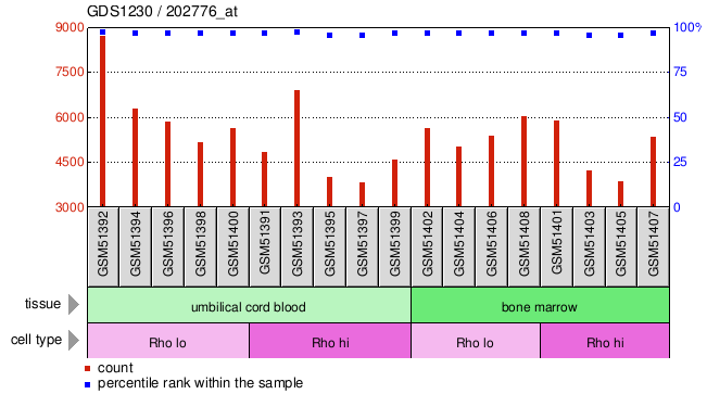 Gene Expression Profile