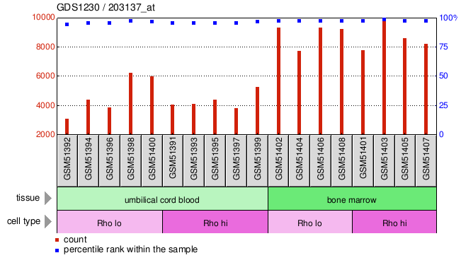 Gene Expression Profile