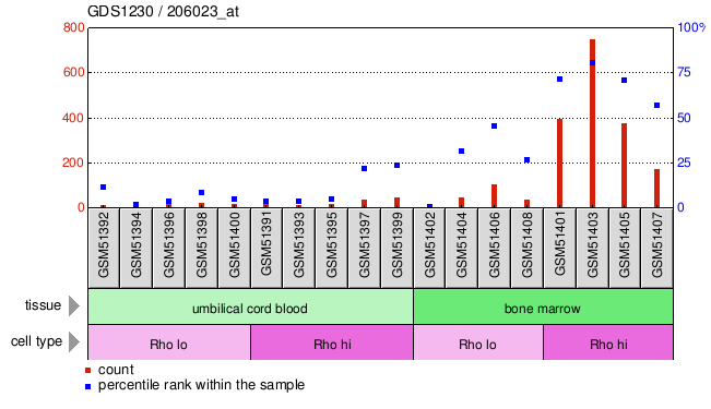 Gene Expression Profile