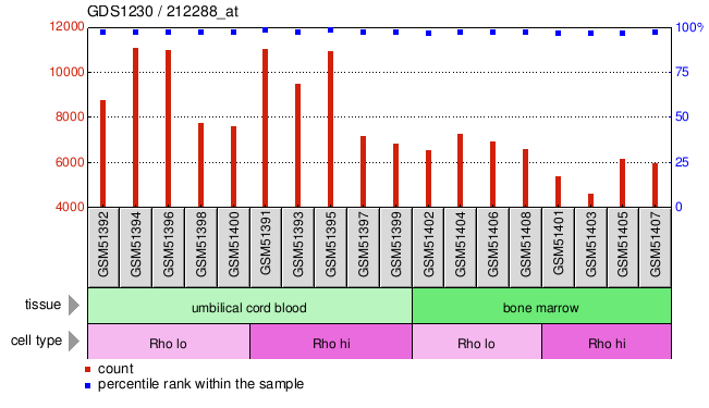 Gene Expression Profile