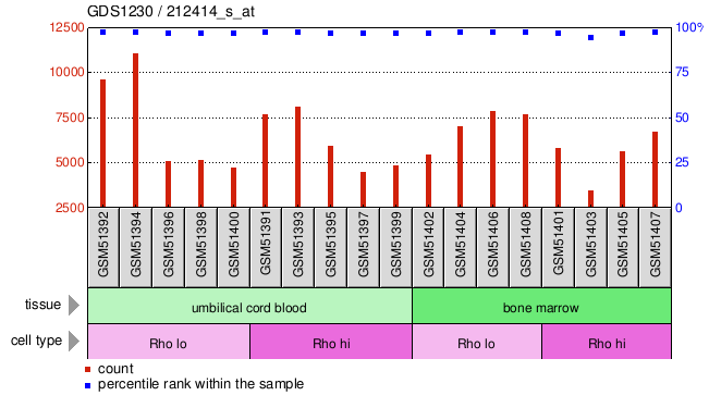 Gene Expression Profile