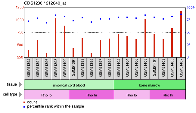 Gene Expression Profile